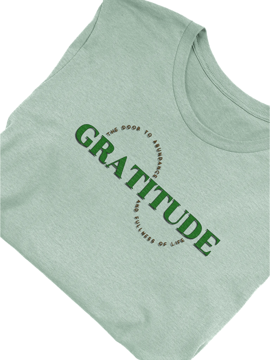 Gratitude Abundance Tee product image (6)
