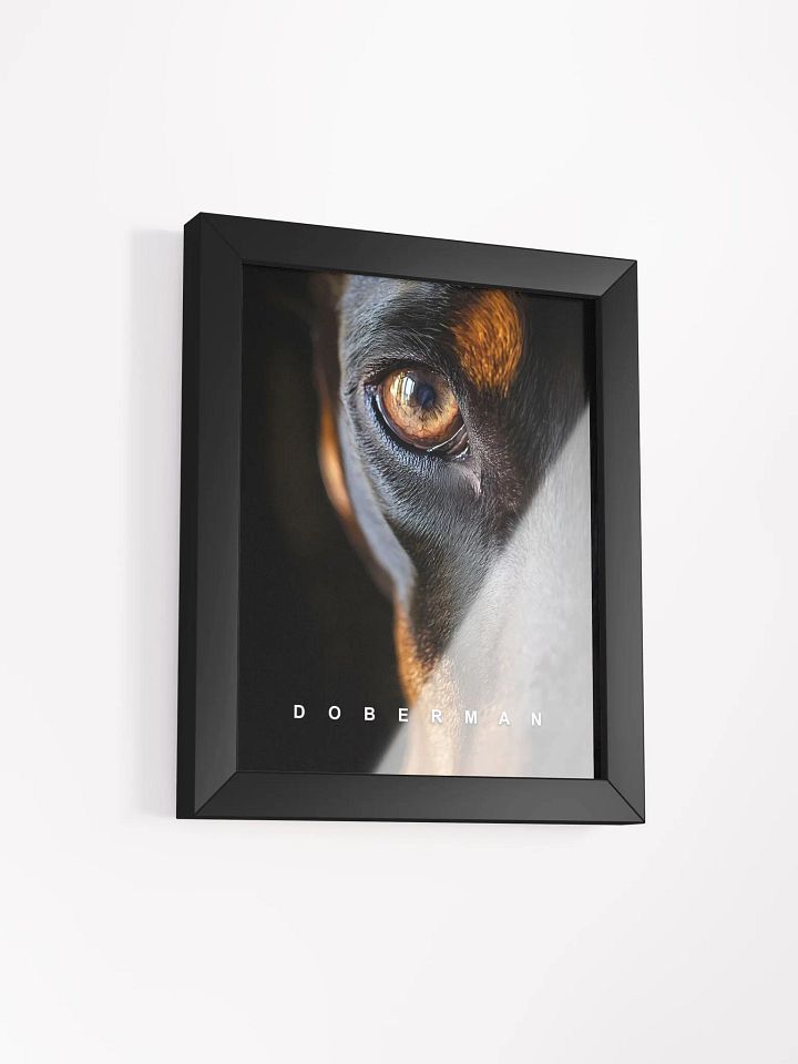 Doberman's Eye Matte Poster product image (18)