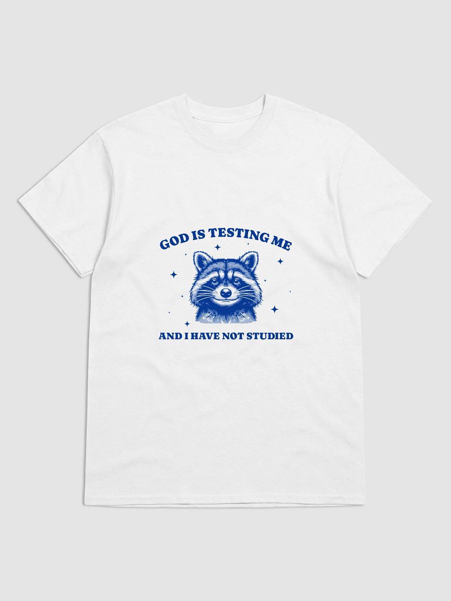 Funny Raccoon Meme T-Shirt - „God Is Testing Me And I Have Not Studied”, Vintage Style Shirt product image (3)