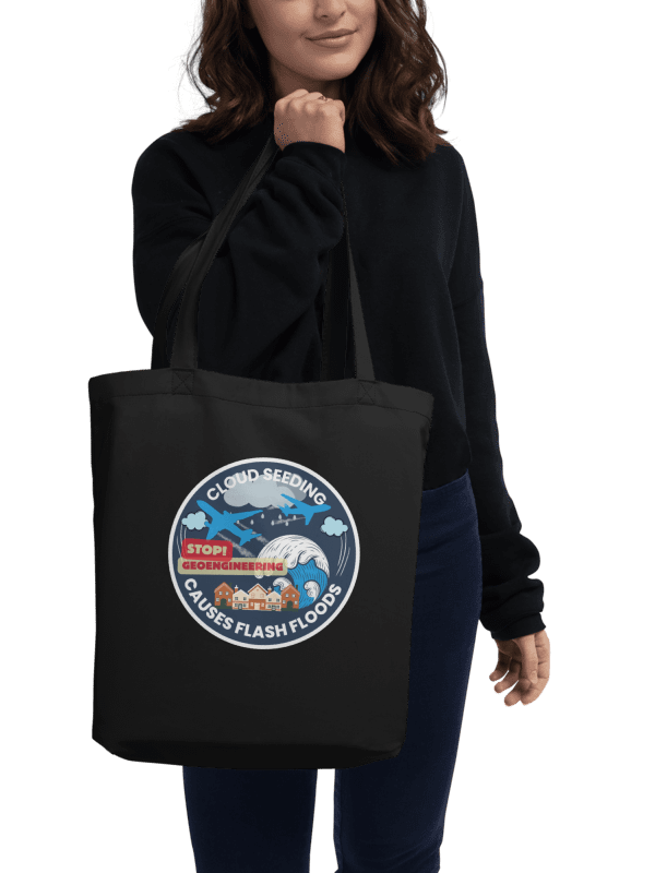 Cloud Seeding Warning - Eco Tote Bag product image (2)