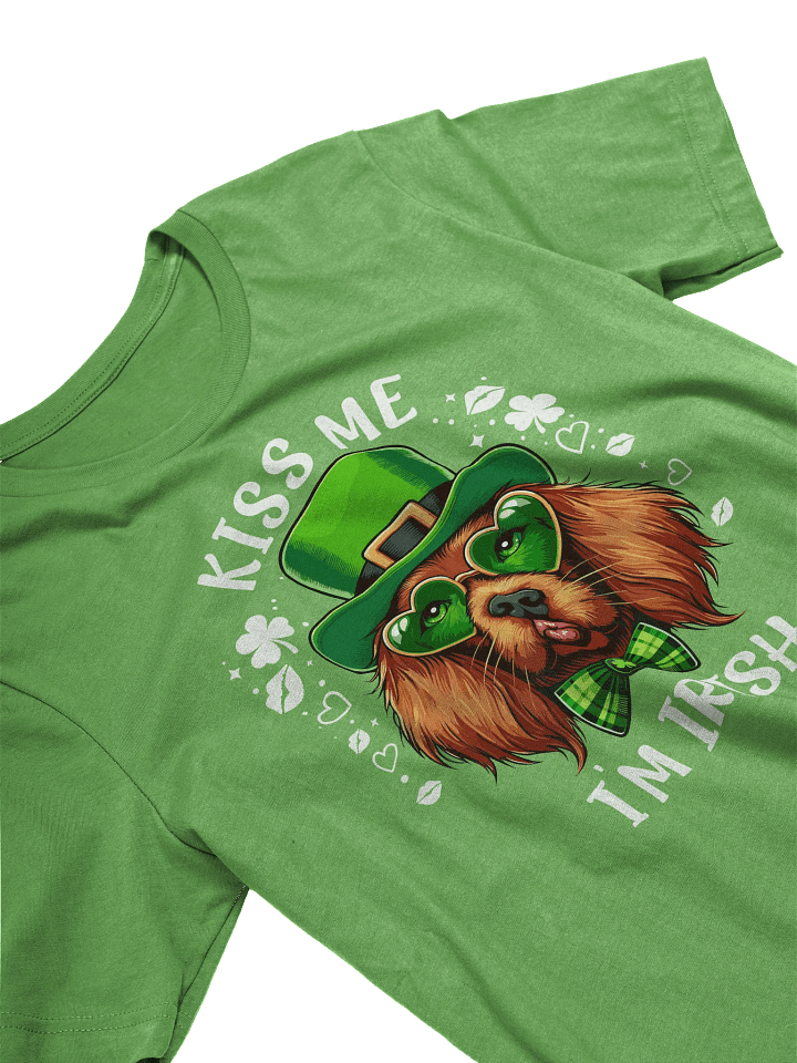 Irish Setter Kiss Me I'm Irish St. Patrick's Day T-Shirt product image (2)