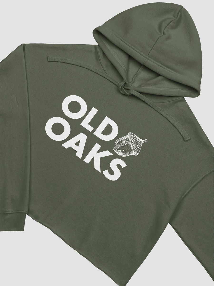Old Oaks Cropped Hoodie product image (16)