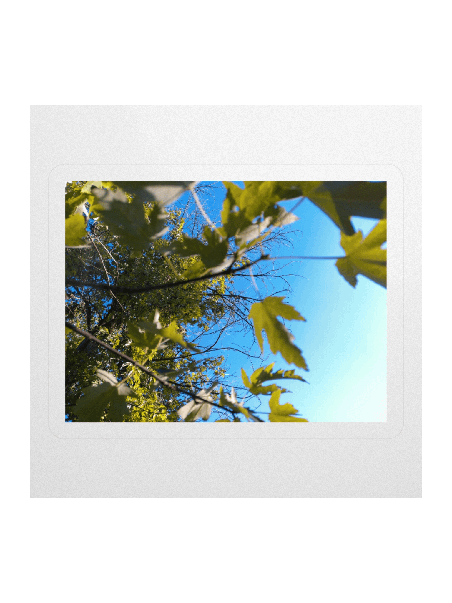 the sky product image (1)