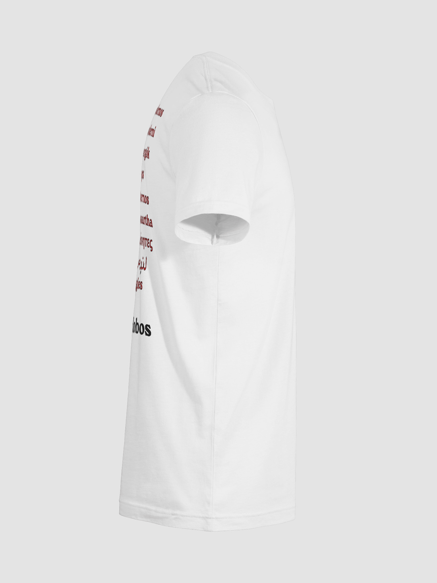 Modern Hobos Worldwide T-shirt product image (12)