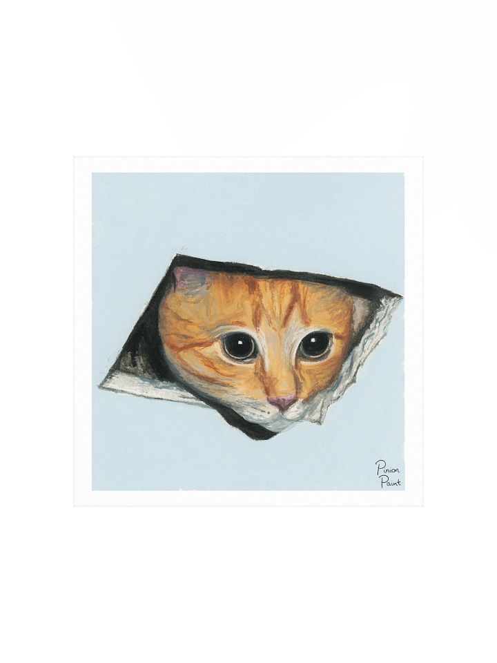 ceiling cat print product image (1)