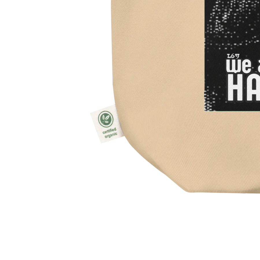 HARRIS-WALZ 2024 WE ARE NOT GOING BACK product image (3)