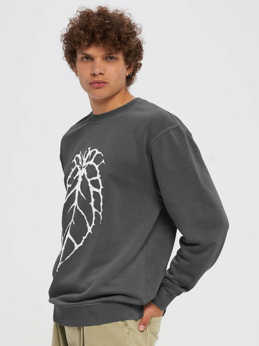 CRYSTALLINUM 🤘🏾 unisex midweight pigment dyed sweatshirt product image (5)