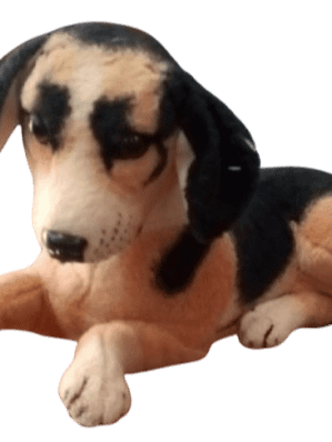 DOG SOFT TOY product image (1)