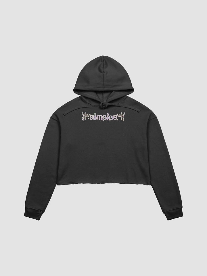 aimsiee cropped hoodie product image (1)