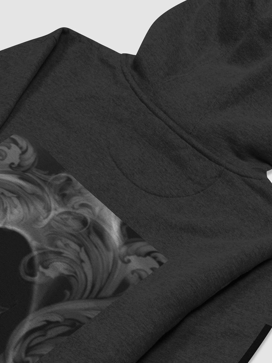 Asylum hoodie product image (4)
