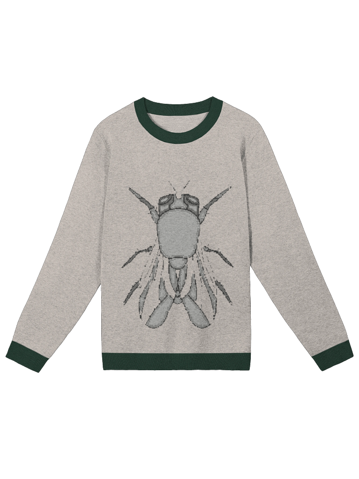 Fly High 4-Color Jacquard Sweater product image (2)