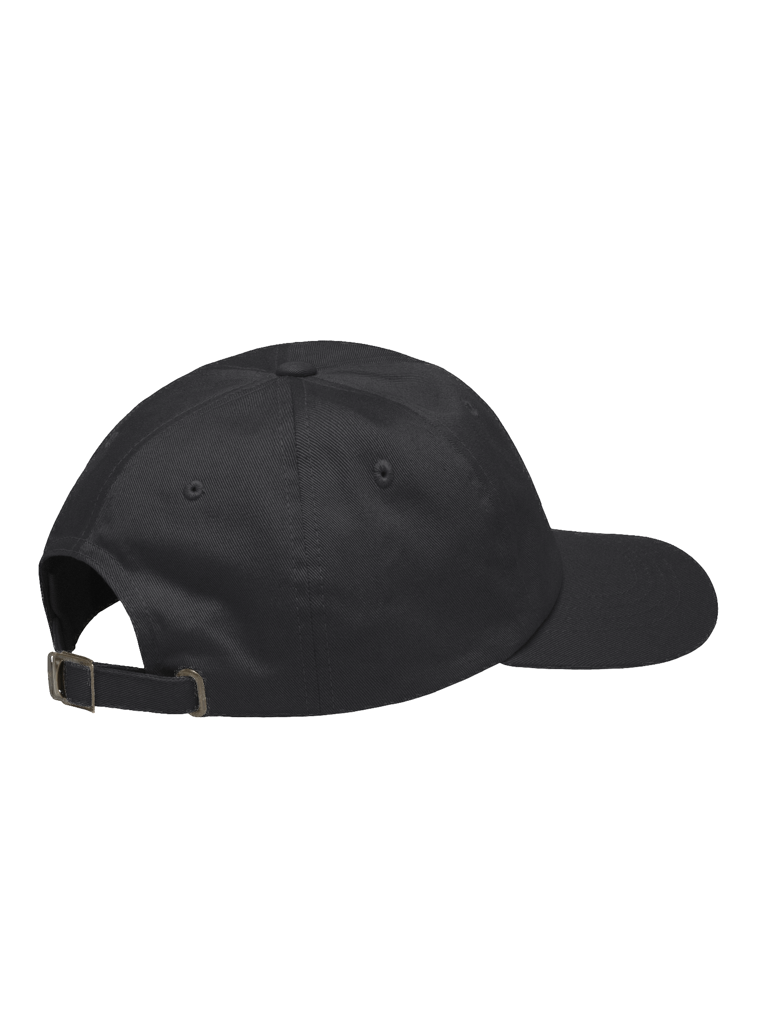 Satin & Turtles Embroidered Dad Hat product image (8)
