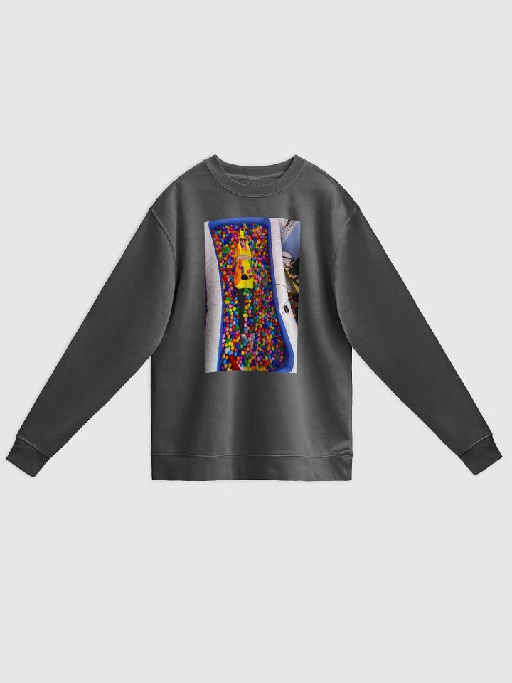 Ball Pit Sweatshirt product image (4)