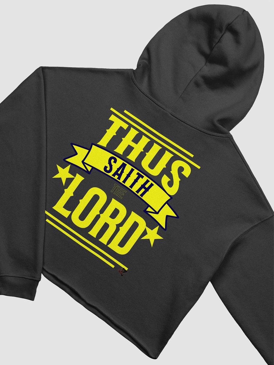 Divine Proclamation Crop Hoodie product image (4)