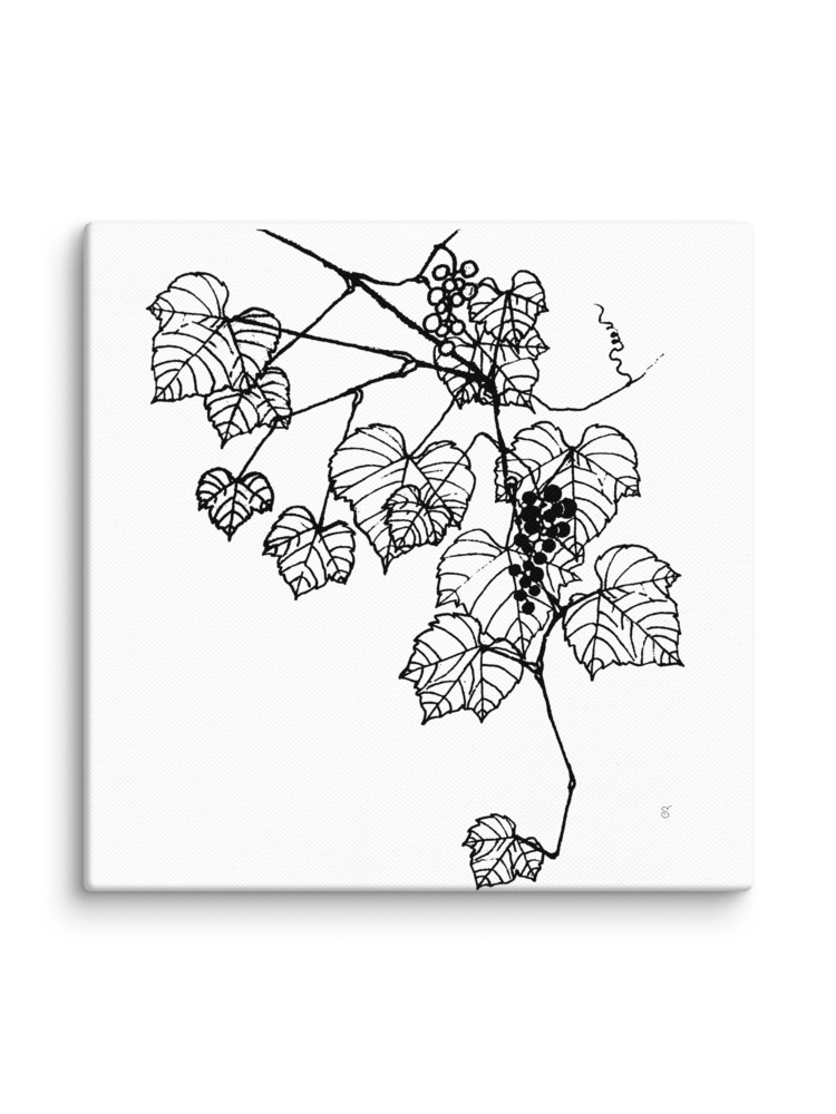 Grapevine Dreams Canvas Print - Grape Leaves Stylish product image (2)