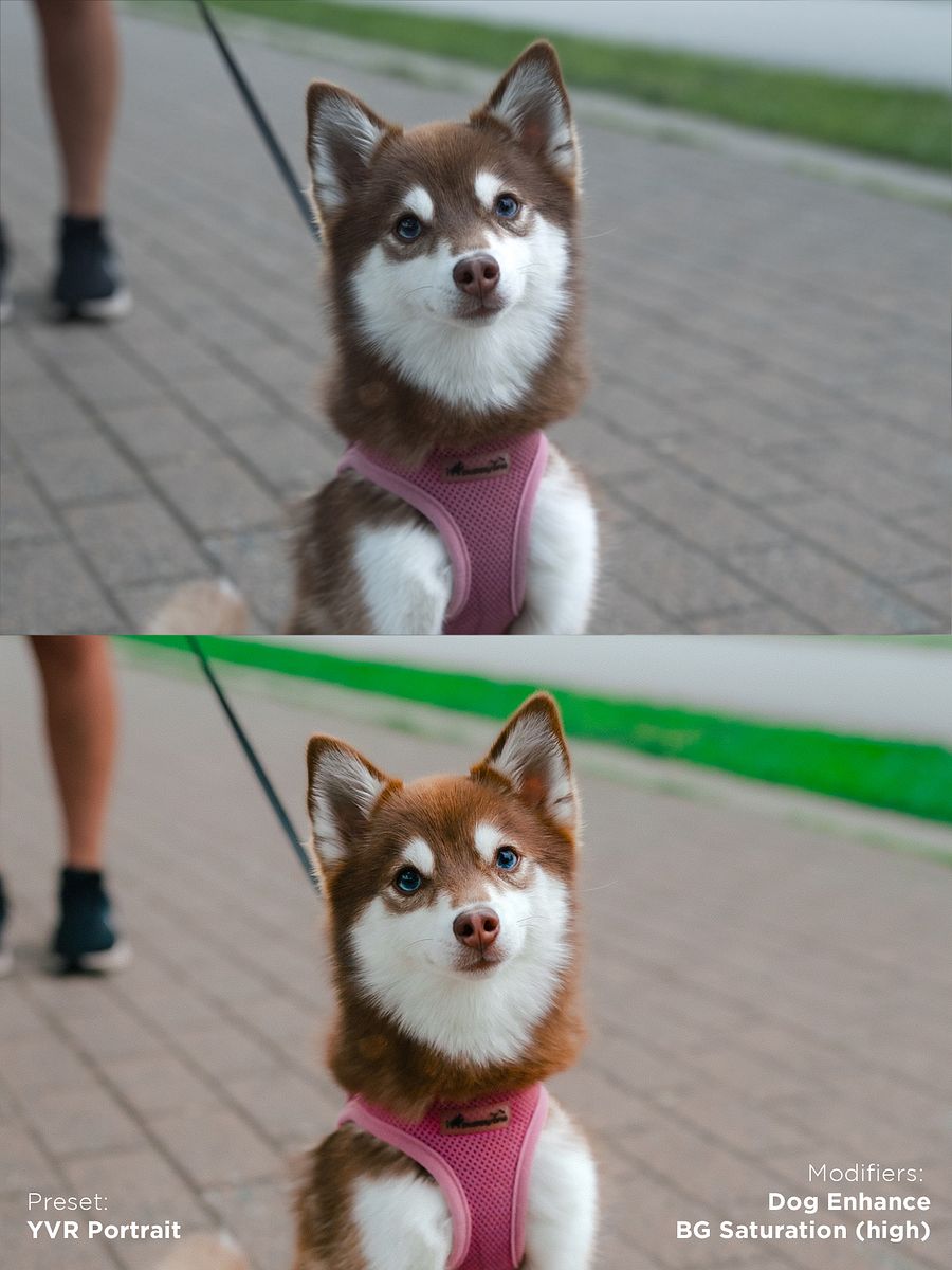 Pawtrait Presets product image (11)