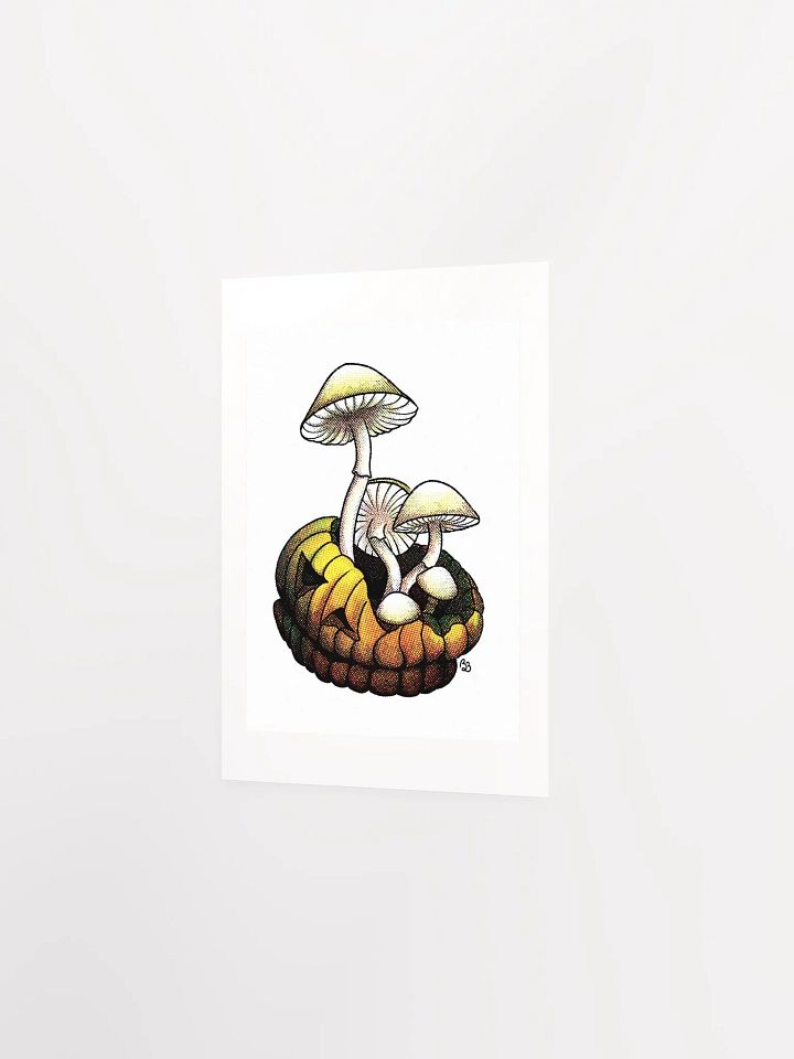 Mushroom product image (4)