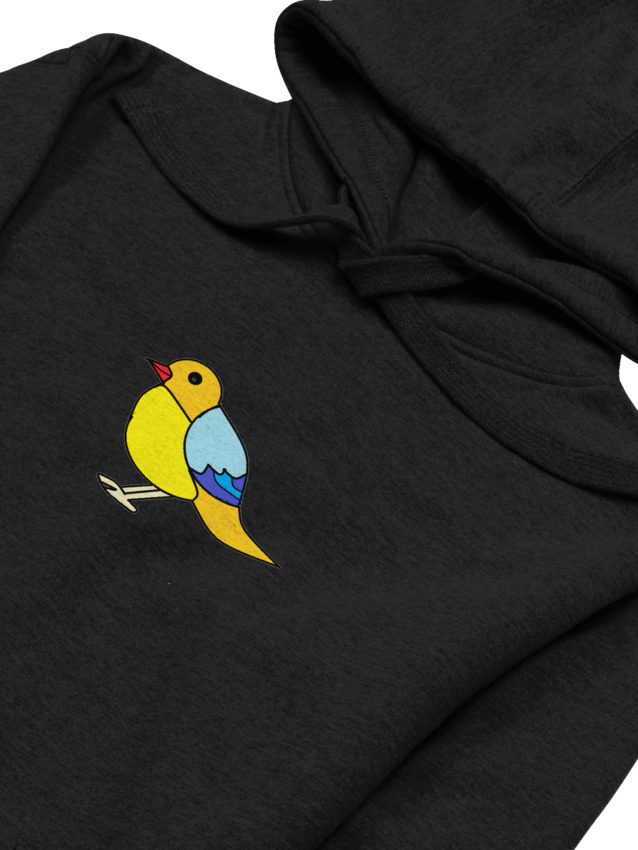 Vibrant Bird Cartoon Premium Hoodie product image (32)