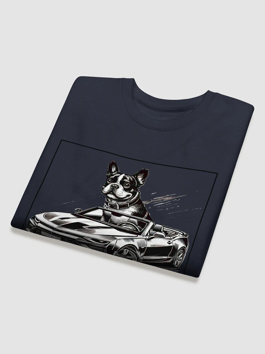 Boston Sweatshirt product image (30)