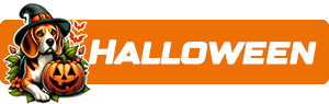 https://cdn.fourthwall.com/sr-creators/resources/d3befe7d-feed-4012-a129-a5c8065a4ebf/1c84413852c1d66c1d55cfcdb84e4c50_f840cd752bfa.png