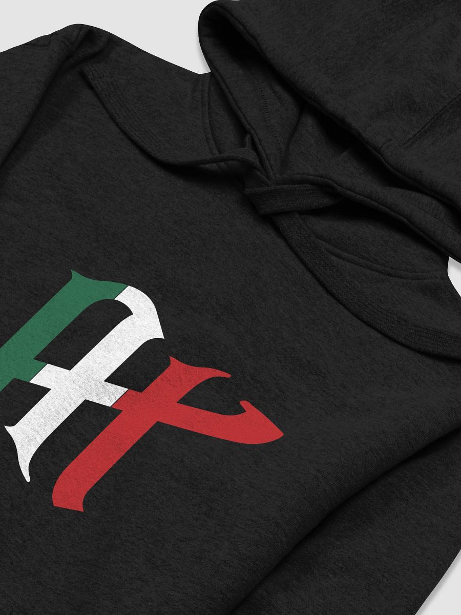 TMR AI Mexico Logo Hoodie product image (3)