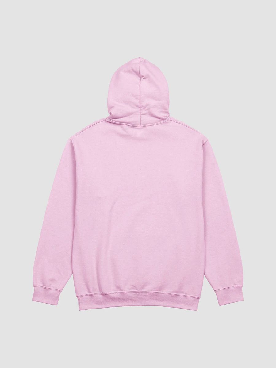 4 kittens Hoodie product image (49)
