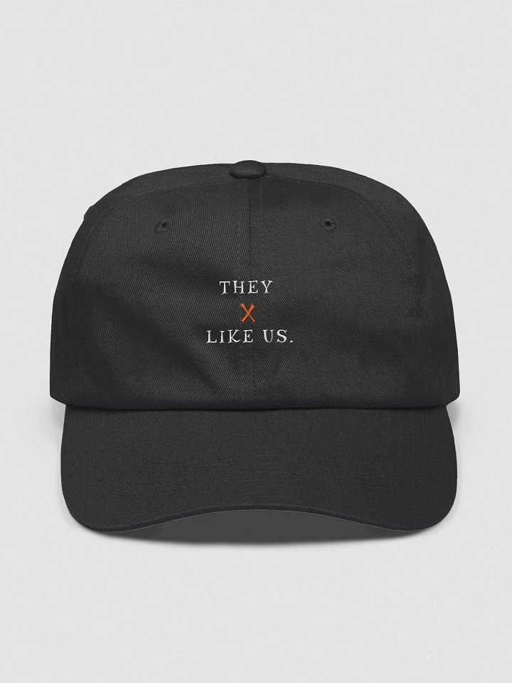 Deception They not like us Embroidered Dad Hat - Urban Streetwear Cap product image (1)
