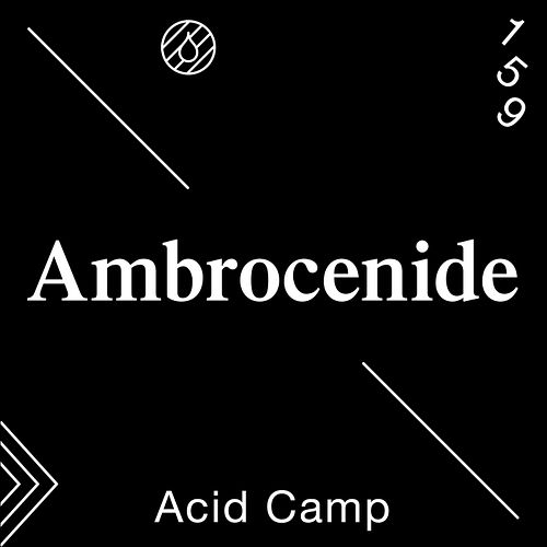 New mix from @ambrocenide now live on soundcloud. Ambrocenide is an alias of Maxwell who formulated the lovely Acid Camp scen...