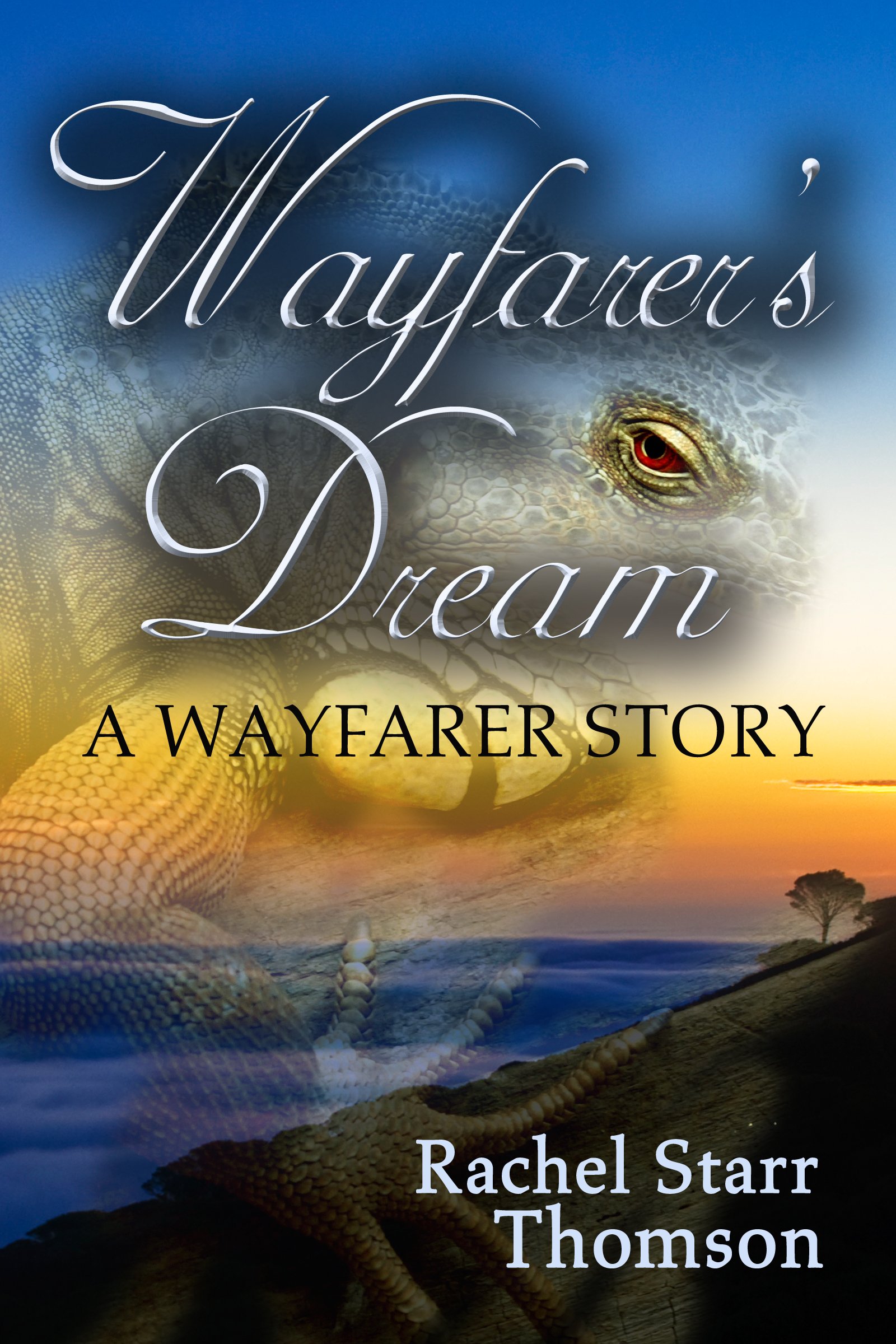 Wayfarer's Dream [EBOOK] product image (1)