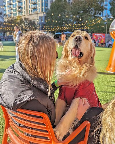 Watch The Sunday Scaries Melt Away🐶🍻 #FetchPark ®️ #PlayHere ®️ #YouCanPetThatDog 

#atlanta #atl #buckheadvillage #o4w #alph...