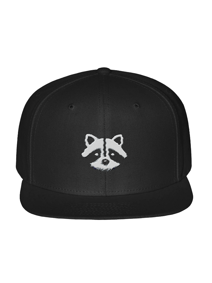 logo snapback product image (1)