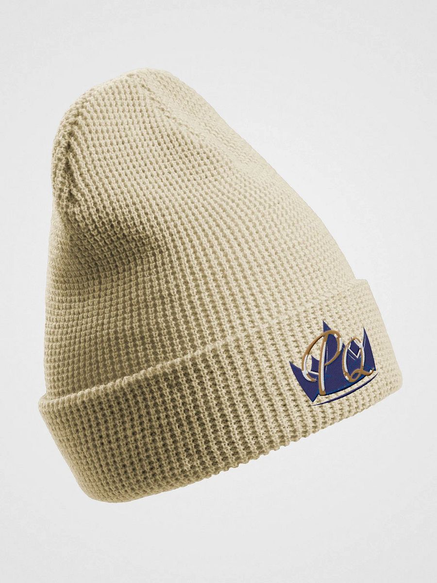 PQ Logo Hat product image (3)
