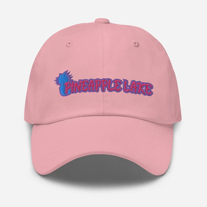 Dad hat product image (3)