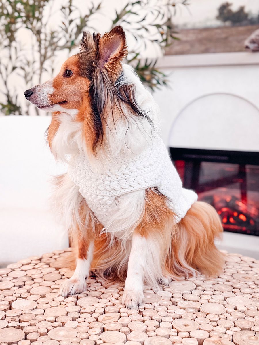 Wheat Stitch Dog Sweater Crochet Pattern in 8 Sizes product image (6)