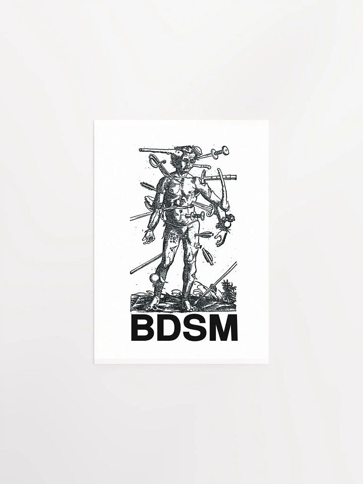 BDSM - Poster product image (3)