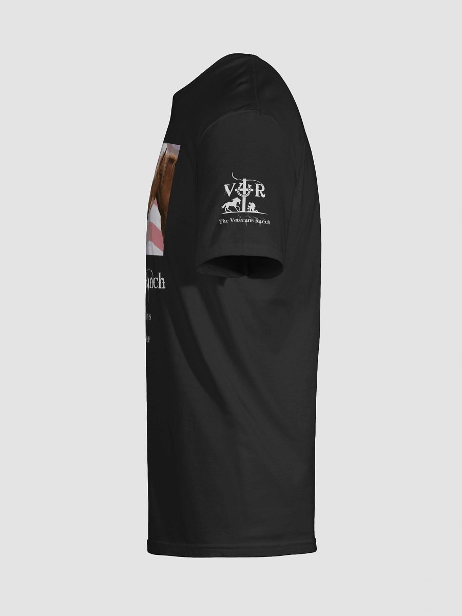 Saving Veterans Lives product image (3)