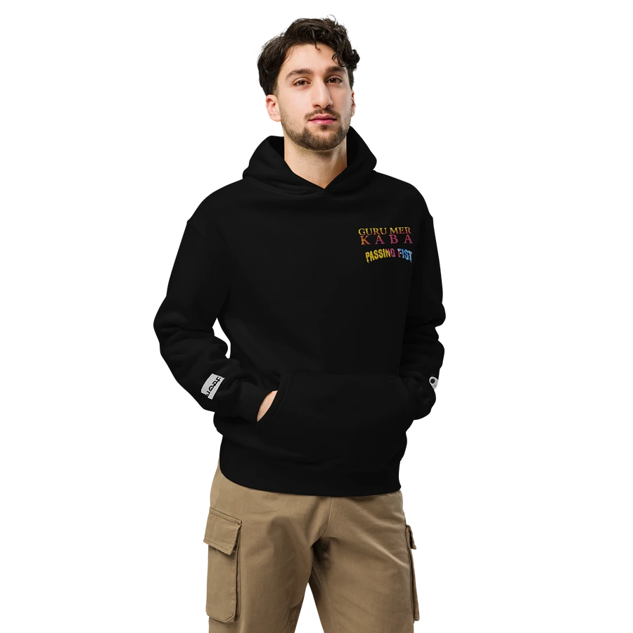 PassingFist Embroidered Hoodie product image (14)