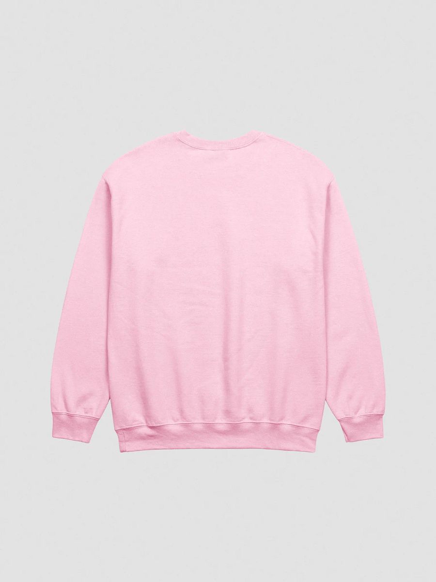 #FASS - Pink Sweatshirt product image (2)
