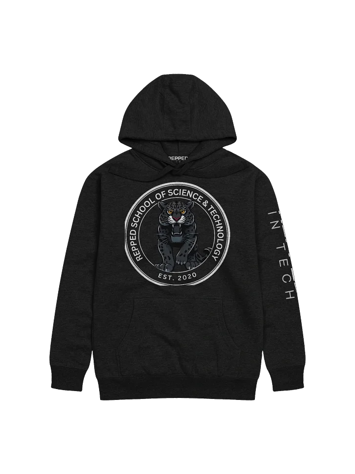 Vintage Repped School of Science & Technology Hoodie product image (1)