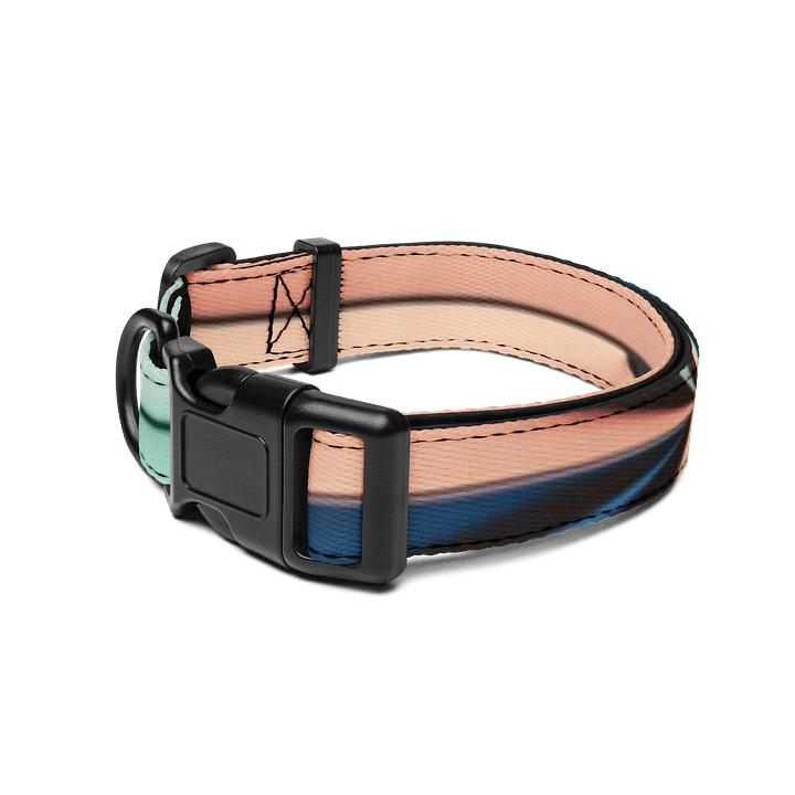Exclusive Gradient Pet Collar - Adjustable, Durable, Sizes S-L product image (2)