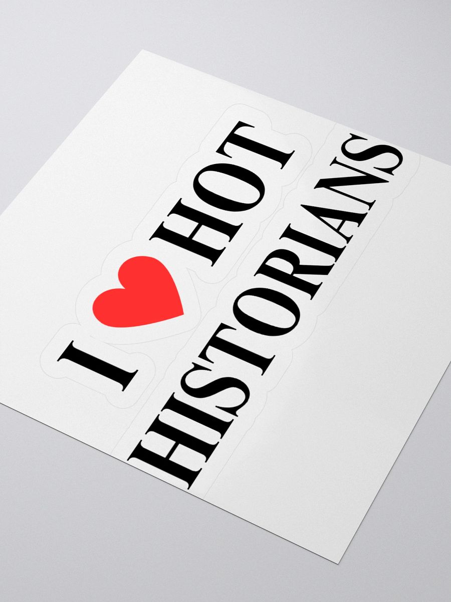 I HEART HOT HISTORIANS STICKER product image (12)