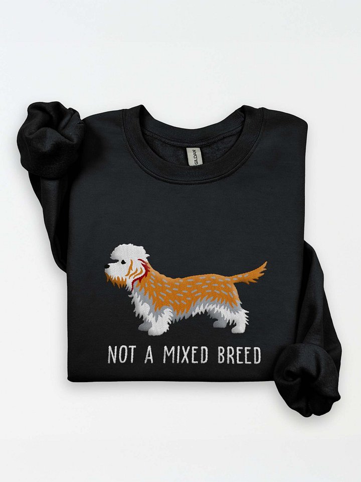 Not a Mixed Breed Sweatshirt (Embroidered) of a Dandie Dinmont Terrier(Mustard) product image (1)