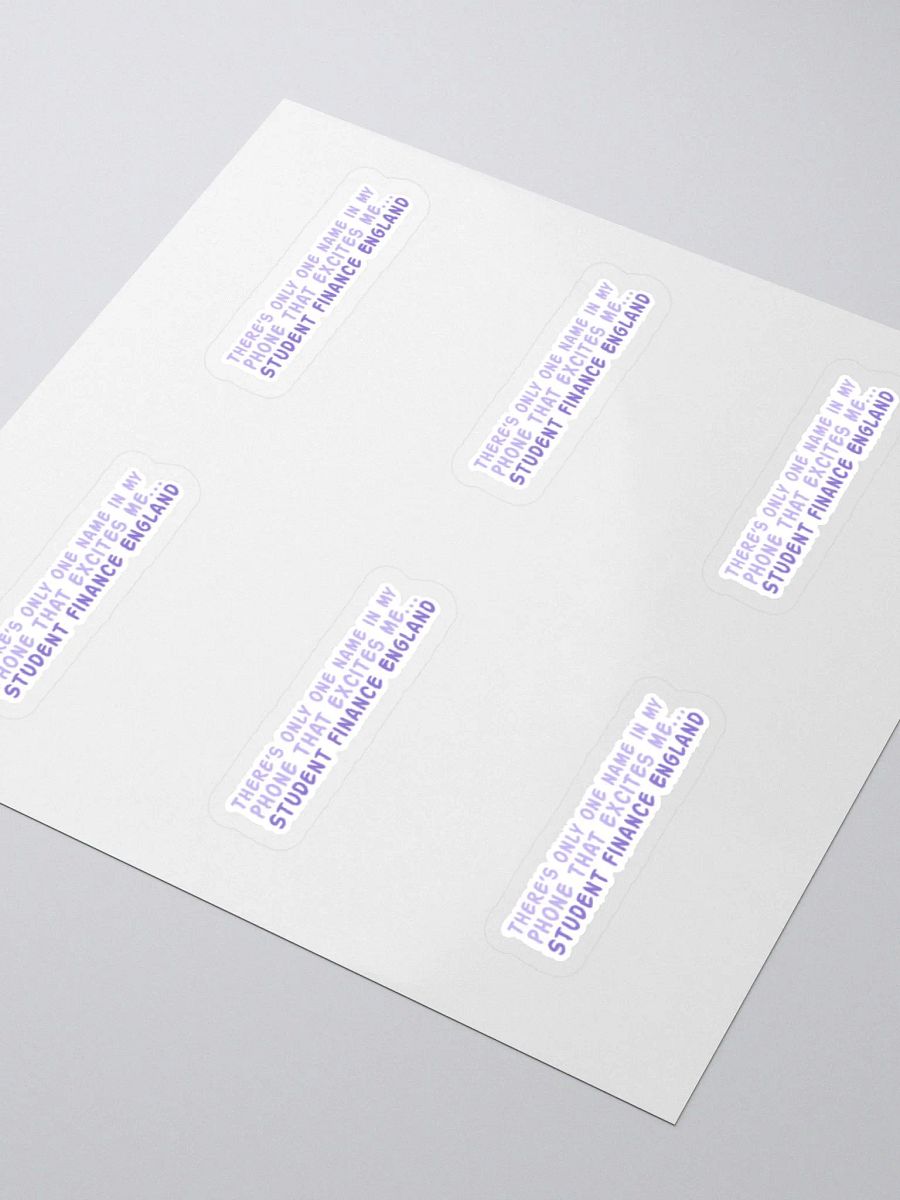 Student Finance Sticker (MEDIUM Sheet) product image (3)