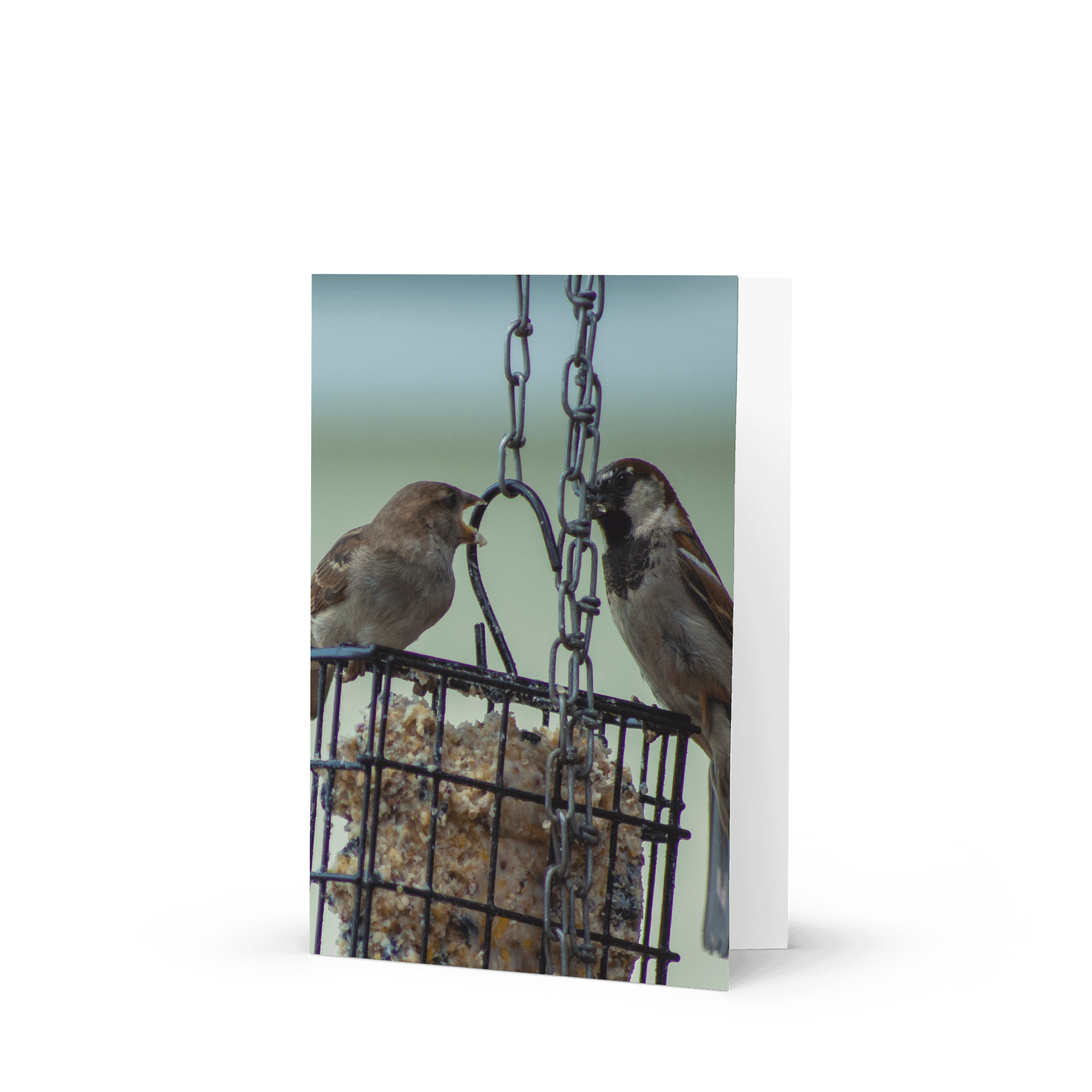 Sparrow Serenade Greeting Card product image (1)