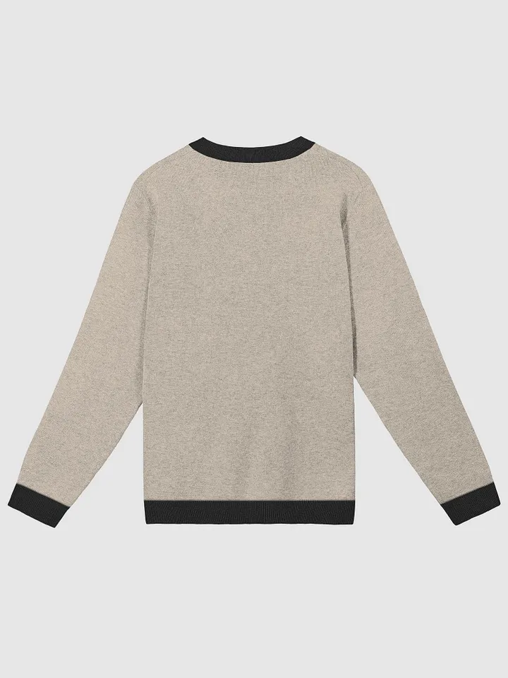 Cozy Dwagon Sweater product image (9)