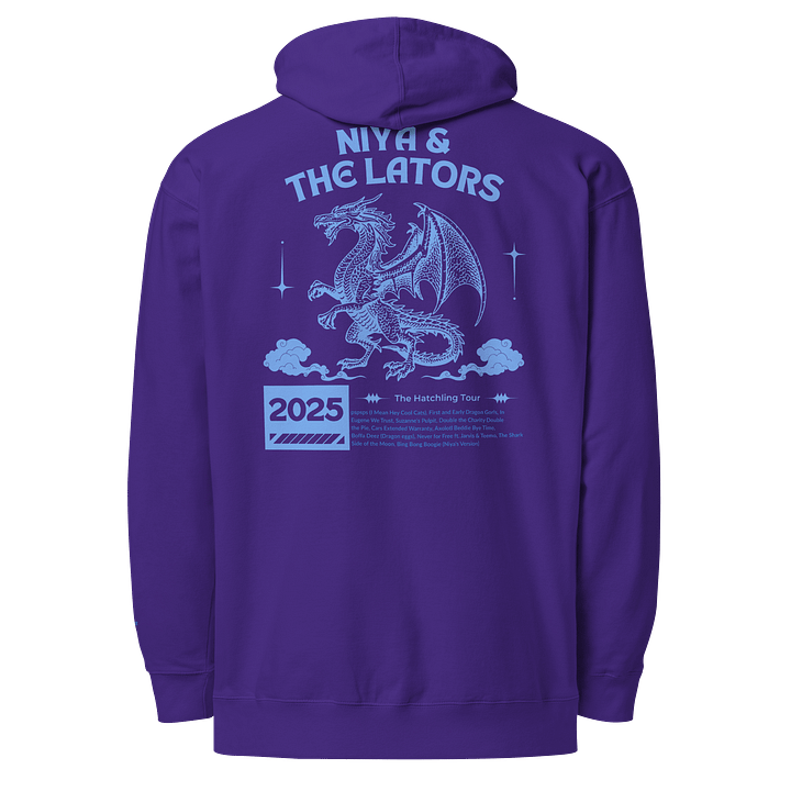 Niya and the Lator's V1 Embroidered Hoodie product image (1)