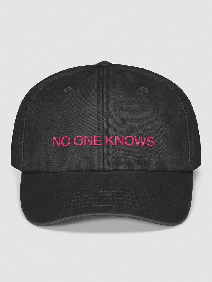 NO ONE KNOWS Cap product image (2)