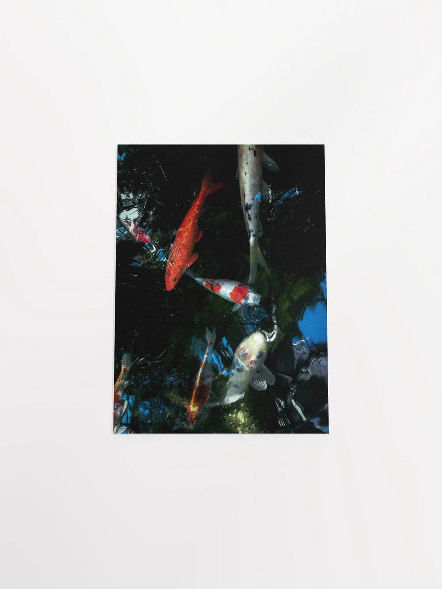 Koi Pond Serenity Poster product image (29)