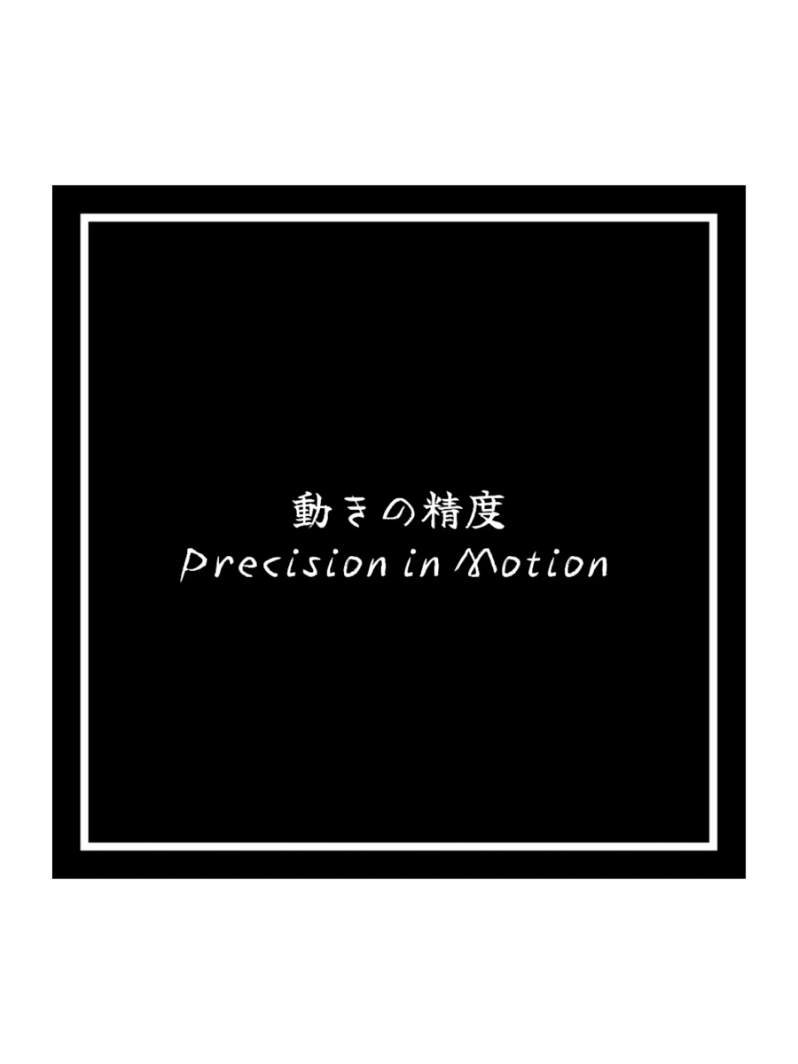 Precision In Motion product image (1)