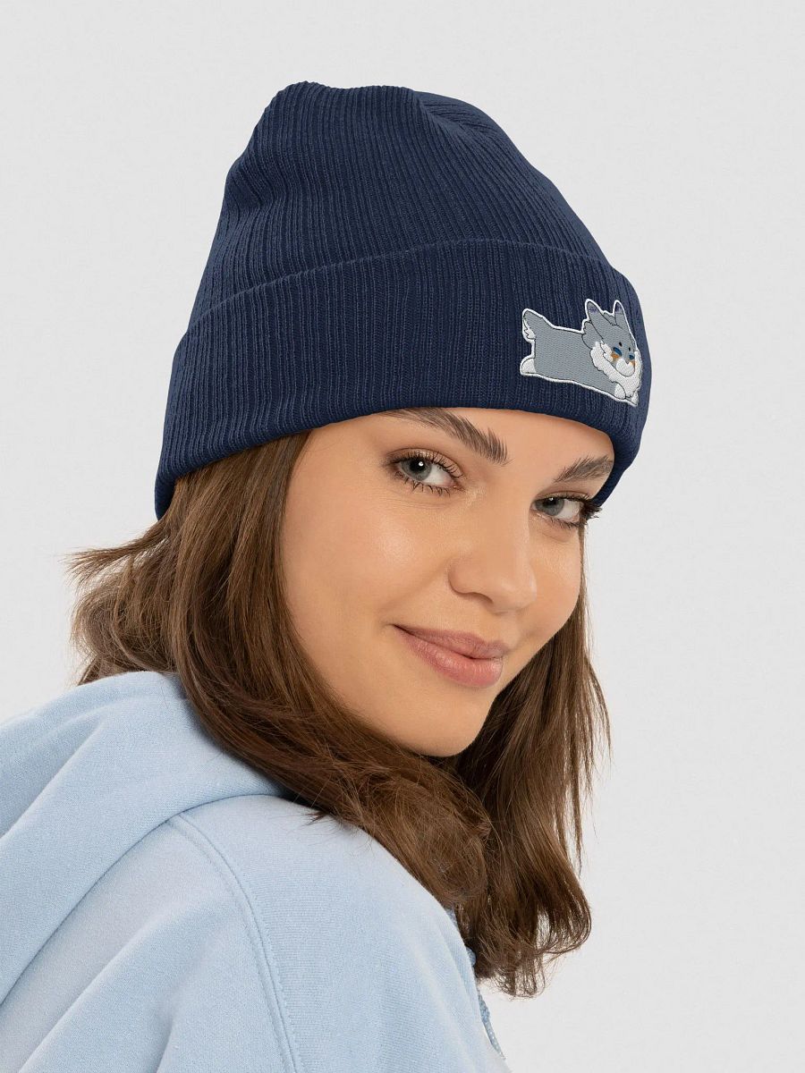 Roy Loaf Beanie product image (8)